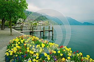 Lake Lucerne, Switzerland. Weggis wooden piers photo