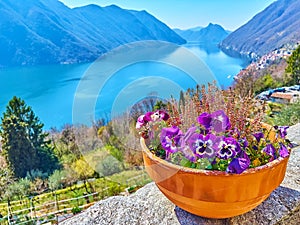 Lake Lugano behind the pot with flowers, Castello, Valsolda, Italy
