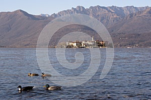 Lake Maggiore landscape