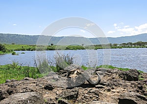 Lake Makat at ngorongoro crater in Tanzania