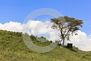 Lake Makat at ngorongoro crater in Tanzania