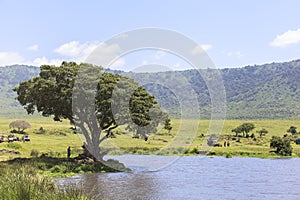 Lake Makat at ngorongoro crater in Tanzania