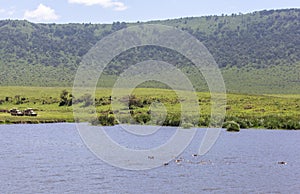 Lake Makat at ngorongoro crater in Tanzania