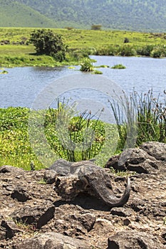 Lake Makat at ngorongoro crater in Tanzania