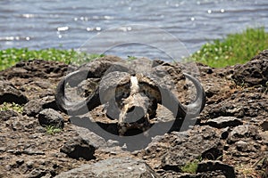 Lake Makat at ngorongoro crater in Tanzania