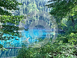 Lake Malaya Ritsa in the summer, Abkhazia