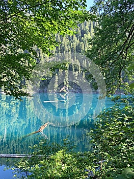 Lake Malaya Ritsa in the summer, Abkhazia