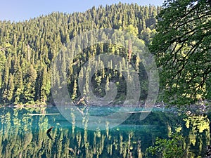 Lake Malaya Ritsa in the summer, Abkhazia