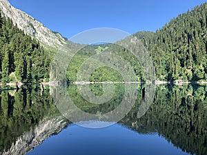 Lake Malaya Ritsa in summer in sunny weather, Abkhazia