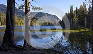 Lake Mamie in early morning photo