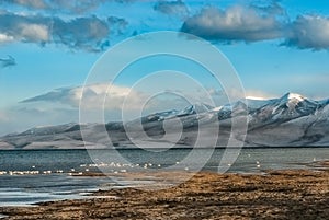 Lake Manasarovar also known as Mapam Yumtso with Himalayas in background, photo