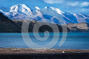 Lake Manasarovar also known as Mapam Yumtso with Himalayas in background, photo