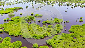 Lake with mangroves on the island of Mindanao, Philippines.