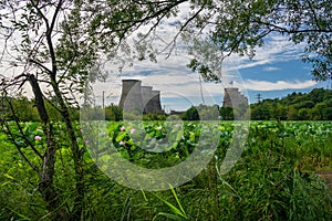 Lake with many lotuses near the hydro-power station