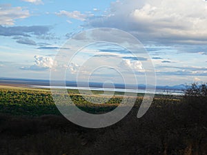 Lake Manyara safari in Afric