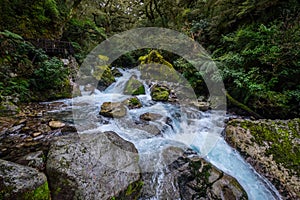 Lake Marian fall located in the Fiordland National Park, Milford sound, New Zealand