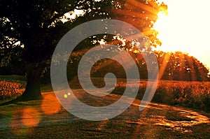 Lake marie Campground