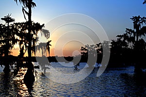 Lake Martin Multicolored Sunset in Southern Louisiana