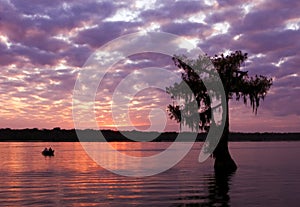 Lake Martin Sunset