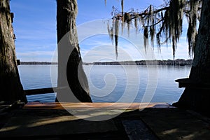 Lake Martin swamp tree house in Breaux Bridge Louisiana photo