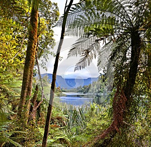 Lake Matheson, New Zealand - HDR image