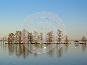 Lake Mattamuskeet in Winter