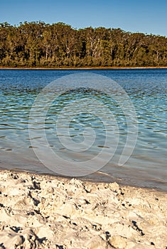 Lake Mc Kenzie at sunset in Fraser Island, Queensland