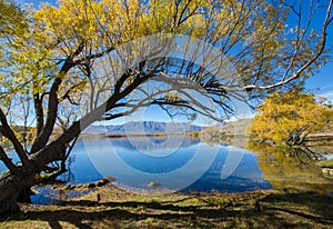 Lake McGregor,Canterbury Region, New Zealand