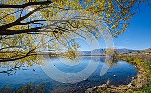 Lake McGregor,Canterbury Region, New Zealand