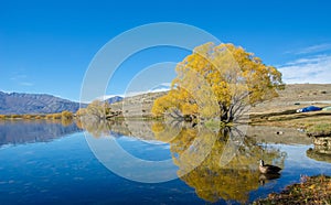 Lake McGregor,Canterbury Region, New Zealand