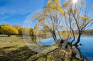 Lake McGregor,Canterbury Region, New Zealand