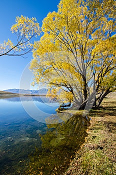 Lake McGregor,Canterbury Region, New Zealand