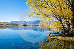 Lake McGregor,Canterbury Region, New Zealand