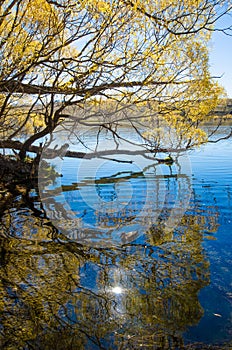 Lake McGregor,Canterbury Region, New Zealand
