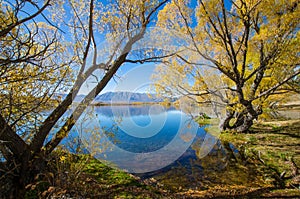 Lake McGregor,Canterbury Region, New Zealand