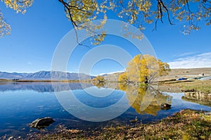 Lake McGregor,Canterbury Region, New Zealand