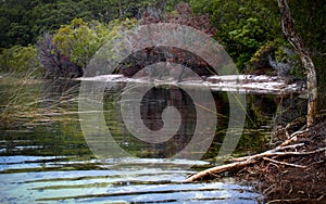 Lake McKenzie Reflections