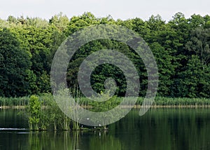 Lake at Meissendorfer Teiche nature reserve in Germany photo