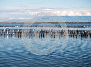 The lake of Mesologi in Greece