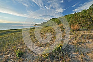 Lake Michigan Shoreline