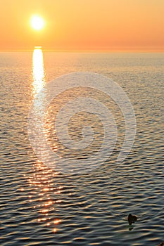 Lake Michigan sunset