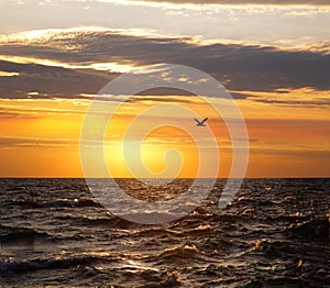 Lake Michigan Sunset