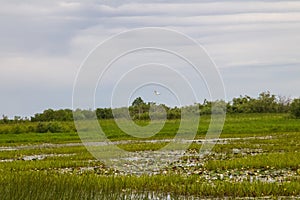 Lake in the middle of flood meadows