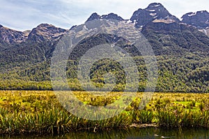 Lake Mirror. Small lakes of Fiordland. New Zealand