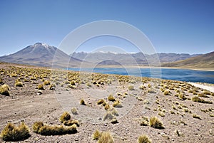 Lake Miscanti with Vulcano MiÃÂ±iques photo