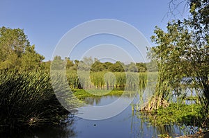 Lake at Mission Trail