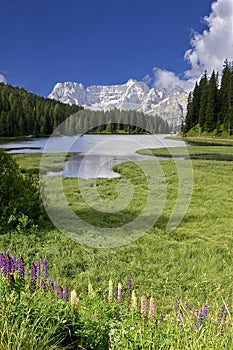 Lake Misurina Dolomites Italy photo