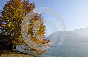 Lake Mondsee