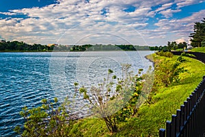 Lake Montebello, in Baltimore, Maryland. photo