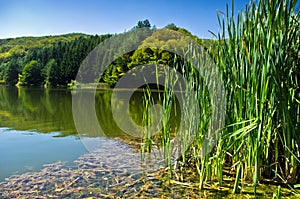 Lake at morning sunshine in Semenic national park, Banat region